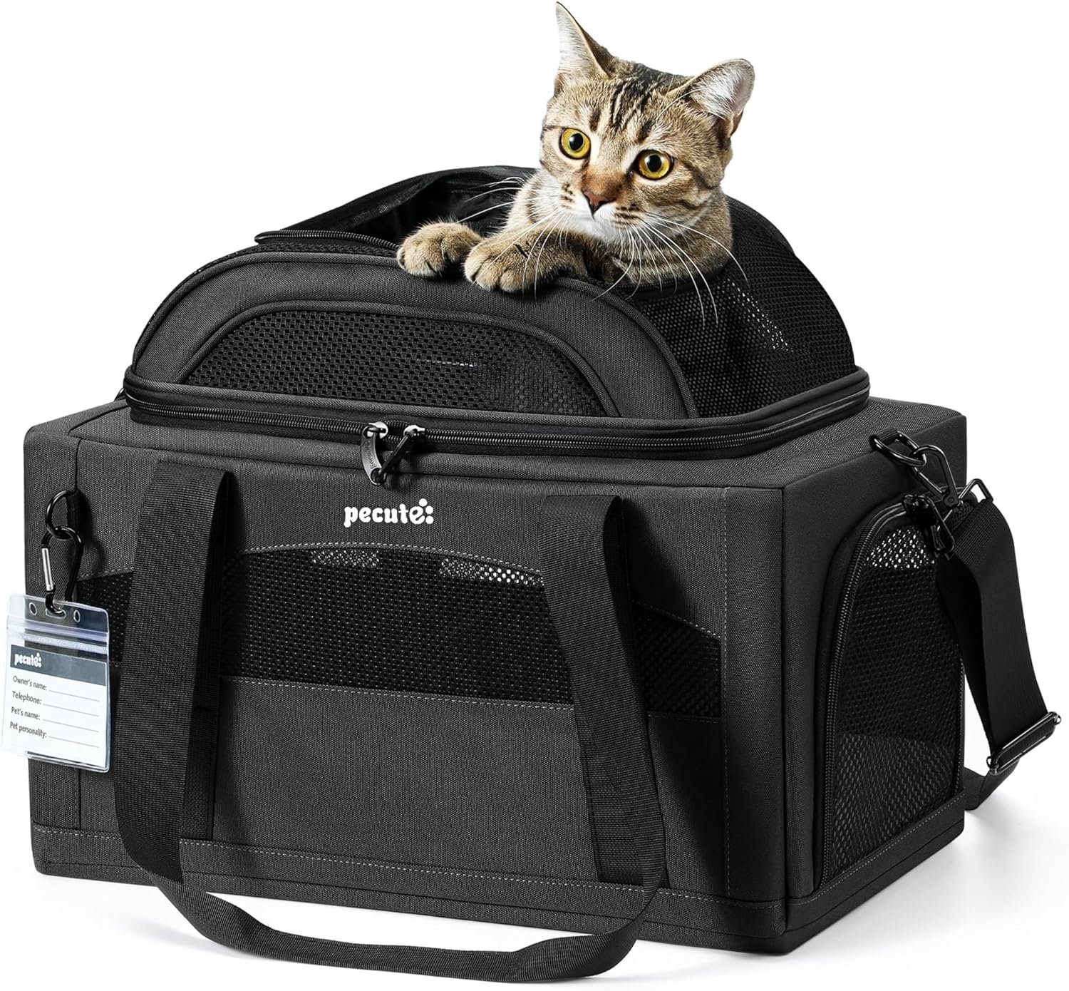 Pecute Transportín expandible para Gatos